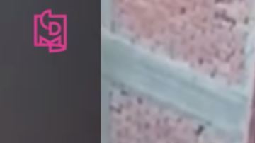 Por fortuna, gente del edificio se percató que la mujer colgaba desde el balcón.