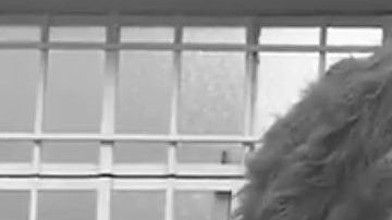 El Club León y Roma de Cuarón en una misma foto.