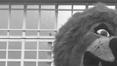 El Club León y Roma de Cuarón en una misma foto.