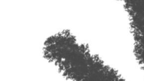 Los jefes tienen que saber manejar a cierto tipo de empleados conflictivos.