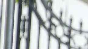 Malia Obama, es universitaria.