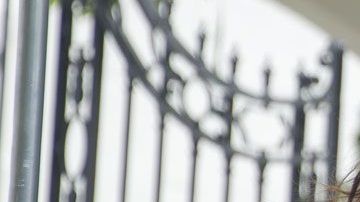 Malia Obama, es universitaria.