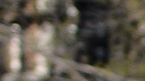 Mizael Carrera aspira a clasificar a los Panamericanos, aquí en una carrera de Chicago. (Javier Quiroz / La Raza)