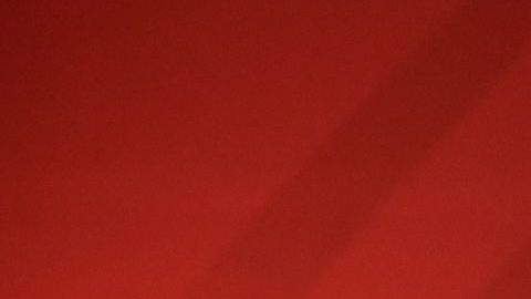 El presidente mexicano podría vetar la reforma que discute el Senado.