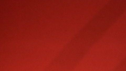 El presidente mexicano podría vetar la reforma que discute el Senado.