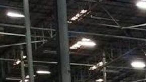 La cocaína iba escondida en el cargamento de piñas.