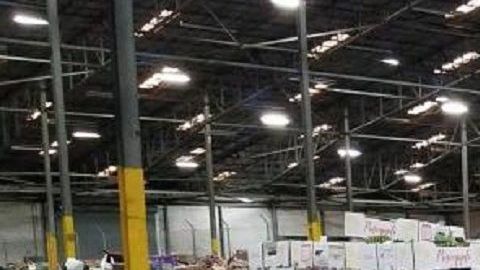La cocaína iba escondida en el cargamento de piñas.