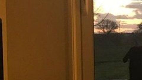 El perro del futbolista desaparecido sigue esperando a que regrese.