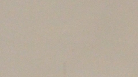 Candidatos que están compitiendo por el escaño del Distrito 25 del ayuntamiento de Chicago participaron en foro comunitario en la iglesia San Pío del barrio de Pilsen.  (Belhú Sanabria / La Raza)