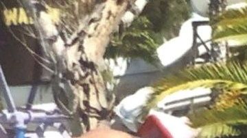 La familia de López busca que un juez de inmigración considere otorgarle una fianza al guatemalteco, cuya pesadilla comenzó con una detención por manejar bajo la influencia del alcohol (DUI).