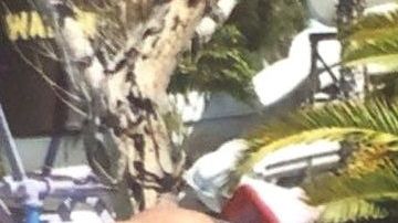 La familia de López busca que un juez de inmigración considere otorgarle una fianza al guatemalteco, cuya pesadilla comenzó con una detención por manejar bajo la influencia del alcohol (DUI).