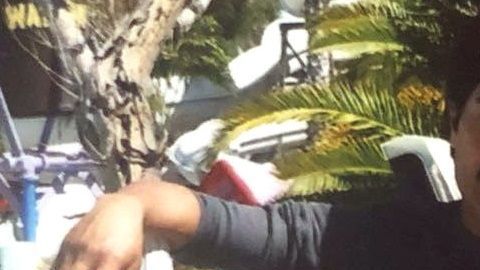 La familia de López busca que un juez de inmigración considere otorgarle una fianza al guatemalteco, cuya pesadilla comenzó con una detención por manejar bajo la influencia del alcohol (DUI).