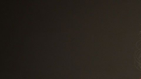 Angela Ahrendts se dedicará a perseguir nuevas actividades profesionales.