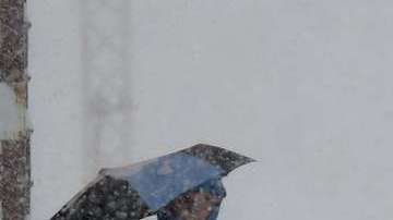 Foto ilustrativa de una tormenta de nieve.