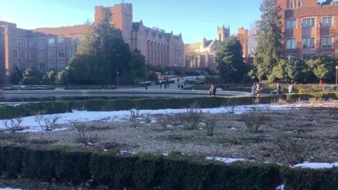 La fuente Drumheller  en el campus de UW.