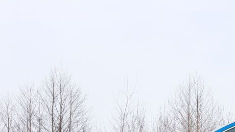 shutterstock_1034794519