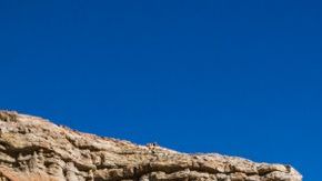 shutterstock_1067309933