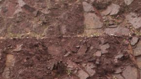 shutterstock_1095520388