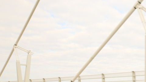 shutterstock_1101264761