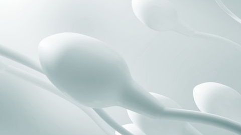 Un aspecto de la calidad del semen es la cantidad de espermatozoides.