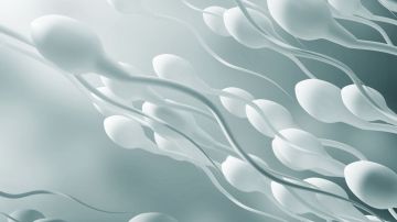 Un aspecto de la calidad del semen es la cantidad de espermatozoides.
