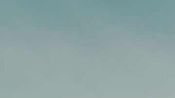 shutterstock_1174394467