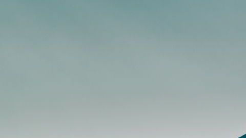 shutterstock_1174394467