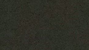 shutterstock_1196201761