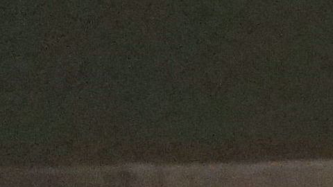 shutterstock_1196201761