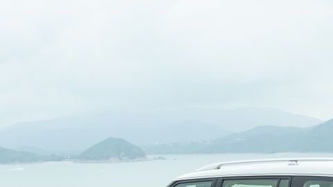 shutterstock_1213867702