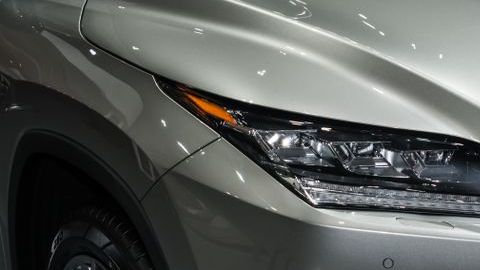 shutterstock_1255210399