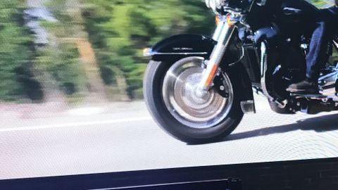 shutterstock_1281969064