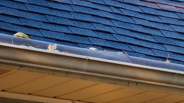 Checa cuándo es la mejor época para limpiar las canaletas.