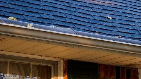 Checa cuándo es la mejor época para limpiar las canaletas.