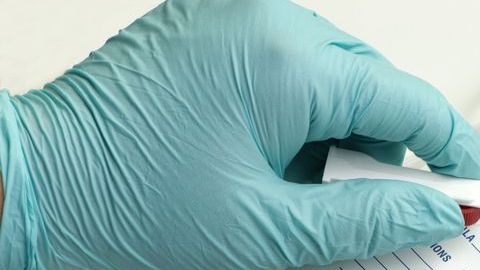 shutterstock_241291006