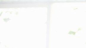 shutterstock_265580381