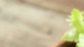 shutterstock_300044102