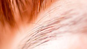 shutterstock_323794157