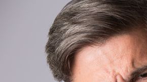 shutterstock_337113407