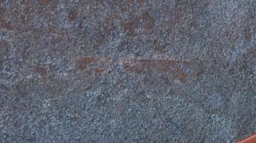 El aguacate mexicano es el campeón del Guacamole Bowl 2019.