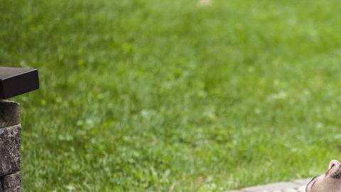 shutterstock_493296514