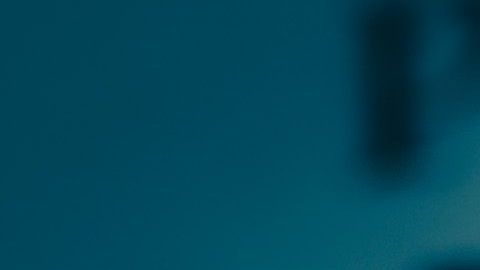 shutterstock_510244225