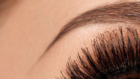 shutterstock_544910971