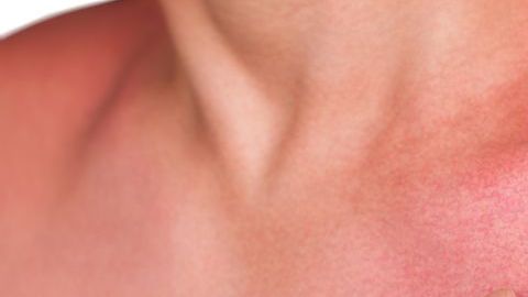 shutterstock_554731459