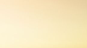 Quitando palabras de tu vocabulario lograrás el éxito.