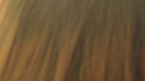 Muchos jóvenes han renunciado al uso de bolsas de plástico por unas de tela.