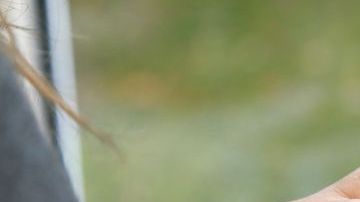 WhatsApp es una de las aplicaciones más descargadas.