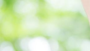 shutterstock_772897498