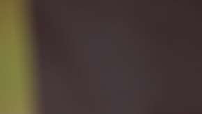 El nombre de la iniciativa es “Marriage Trumps All”.