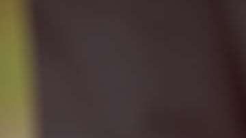 El nombre de la iniciativa es “Marriage Trumps All”.